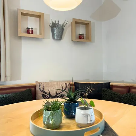 Mountain View 아파트 *